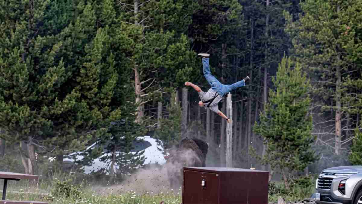 Man performing a backflip mid-air off a dirt ramp in a forested parking area, kicking up dust with a two-car background and trees nearby.