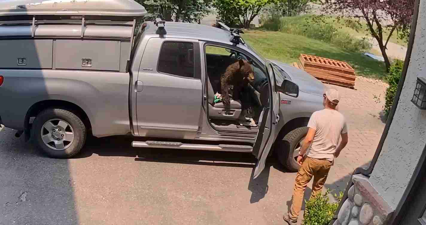Man in a cap standing beside a silver pickup with the driver's door open as a large dog climbs out onto the step/ground.