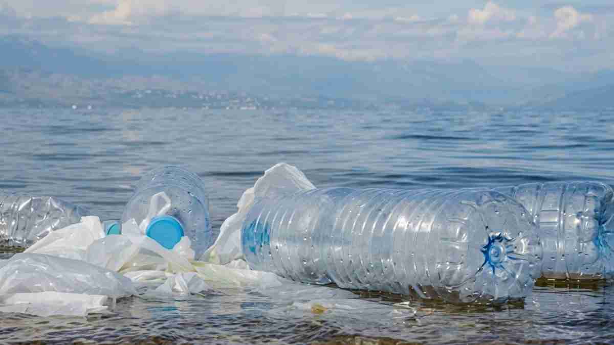 Floating plastic bottles and bags drift on the calm sea near the shore, highlighting pollution, with distant mountains in the background.