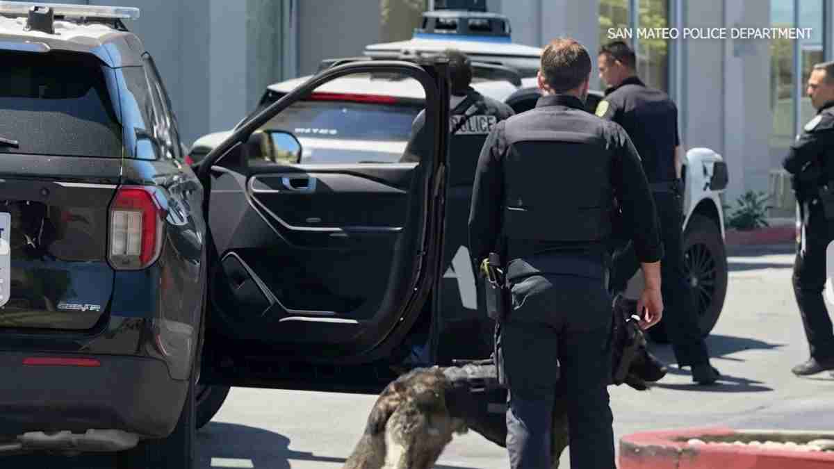 Police officers with K-9s near parked SUVs outside a building, San Mateo Police Department scene.