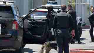 Police officers with K-9s near parked SUVs outside a building, San Mateo Police Department scene.