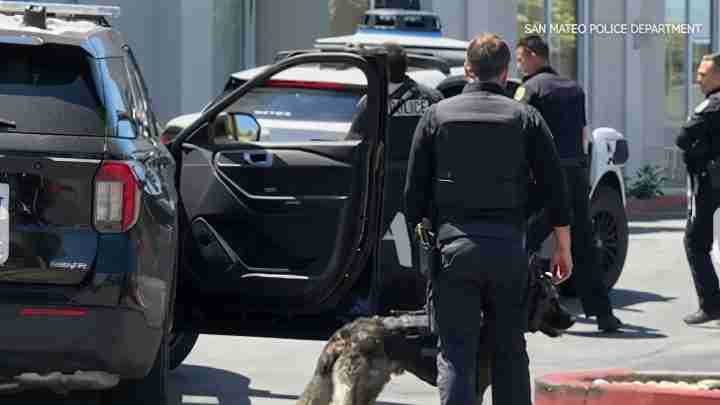 Police officers with K-9s near parked SUVs outside a building, San Mateo Police Department scene.
