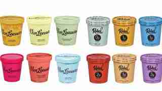 Twelve Van Leeuwen ice cream cups in various pastel and bright colors, arranged in two rows on a white background.